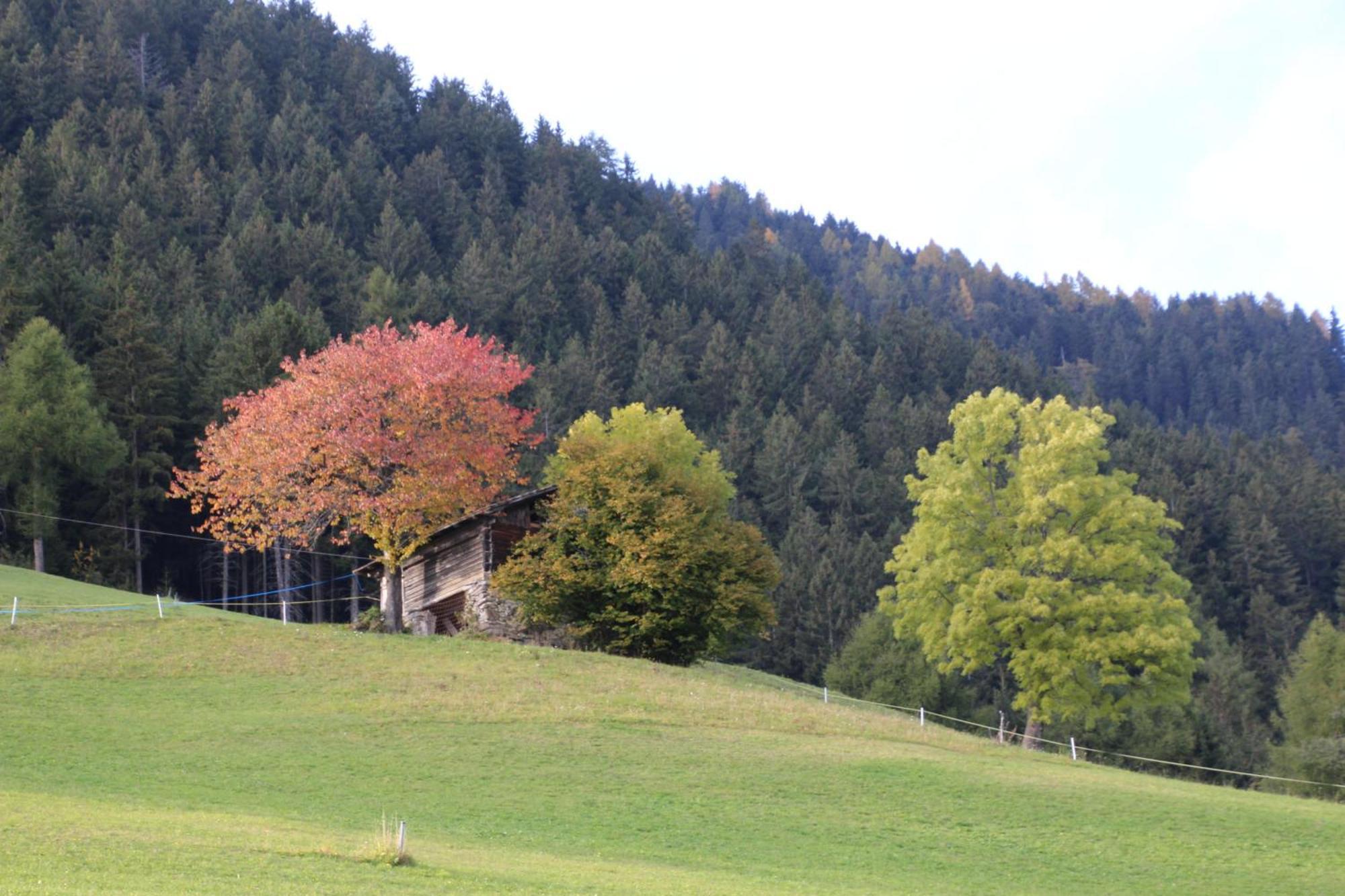Gasthof Walde Hotel Rifiano Exterior photo